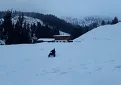 20180223_183408547_ios.jpg