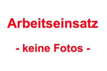 Arbeitseinsatz